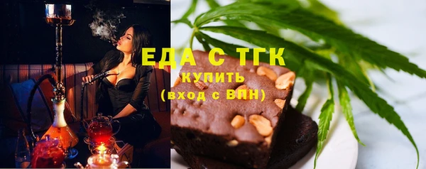 шишки Абаза
