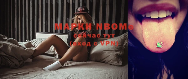 шишки Абаза