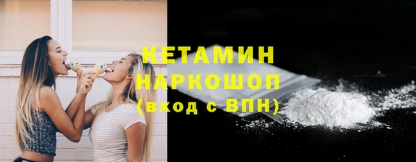 шишки Абаза