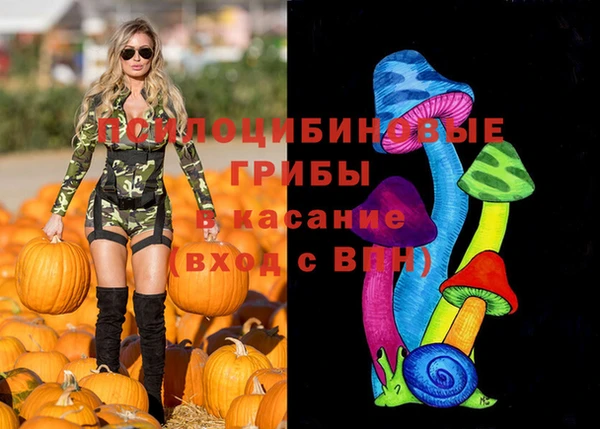 шишки Абаза