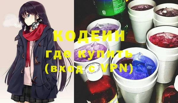 шишки Абаза