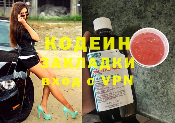 шишки Абаза