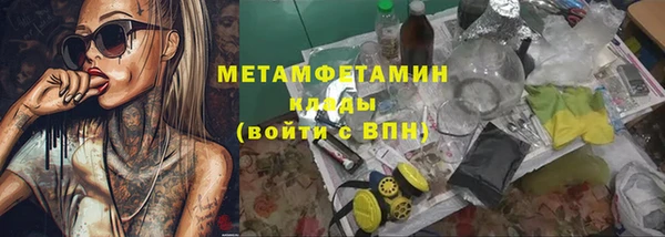 шишки Абаза