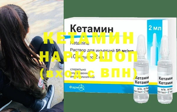 шишки Абаза