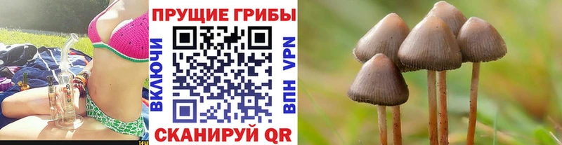 Галлюциногенные грибы мухоморы  где продают   Томилино 
